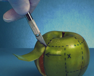 云呼网页版在线轰炸机